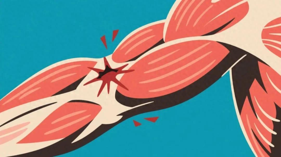 开云体育官方网站-警惕！小心这些药正在“溶解”你的肌肉